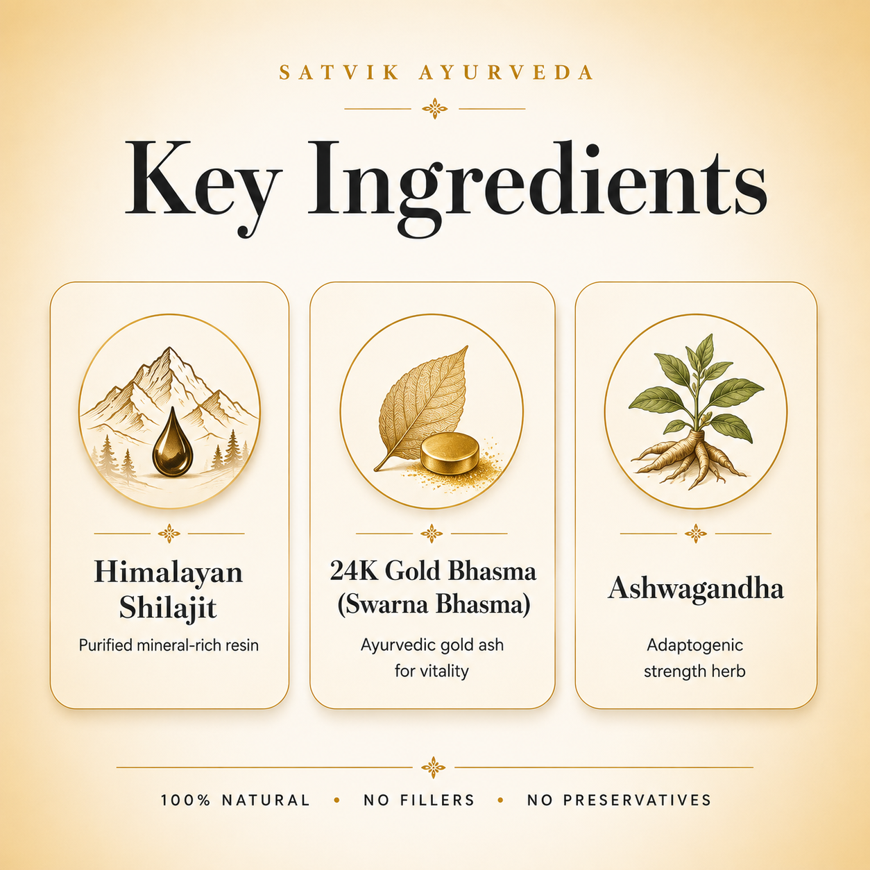 Satvik Ayurveda Shilajeet Gold | Premium Energy Formula