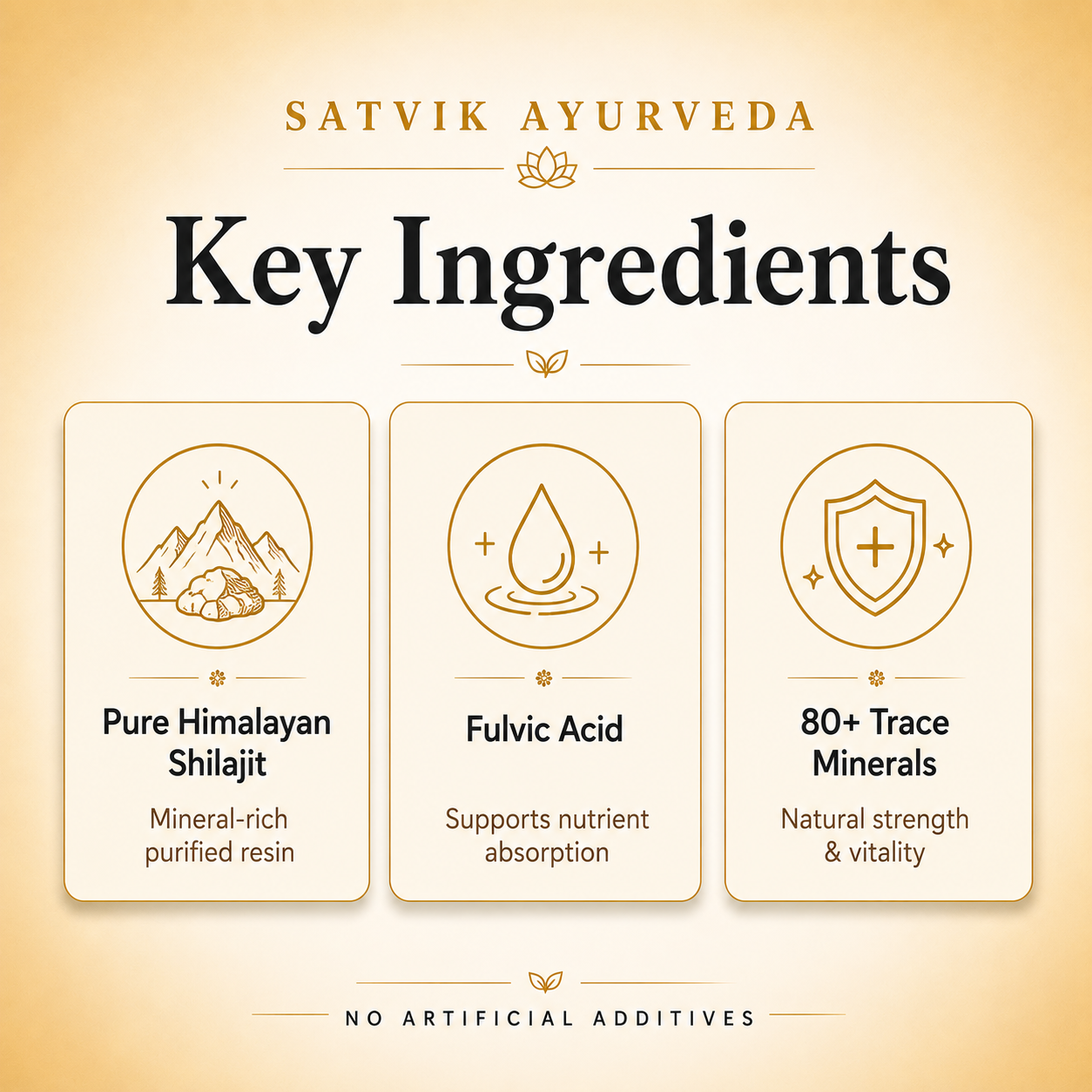 Satvik Ayurveda Shilajeet | Pure Himalayan Shilajit Resin