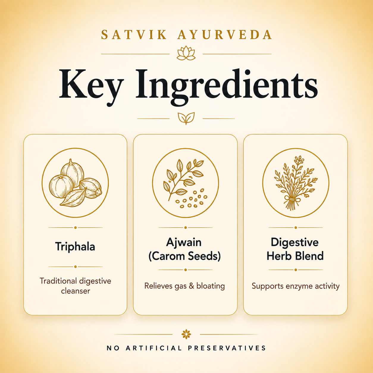Satvik Ayurveda Pachan Zyme Syrup | Ayurvedic Digestive Support