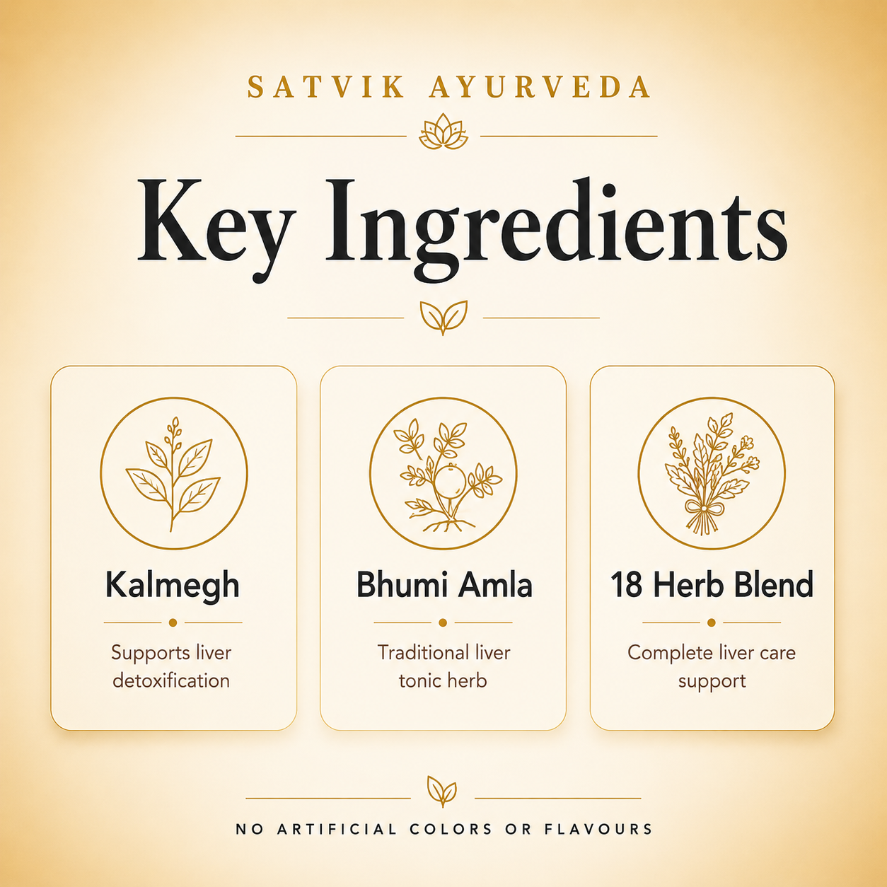 Satvik Ayurveda LIV-18 DS | Ayurvedic Liver Care Syrup