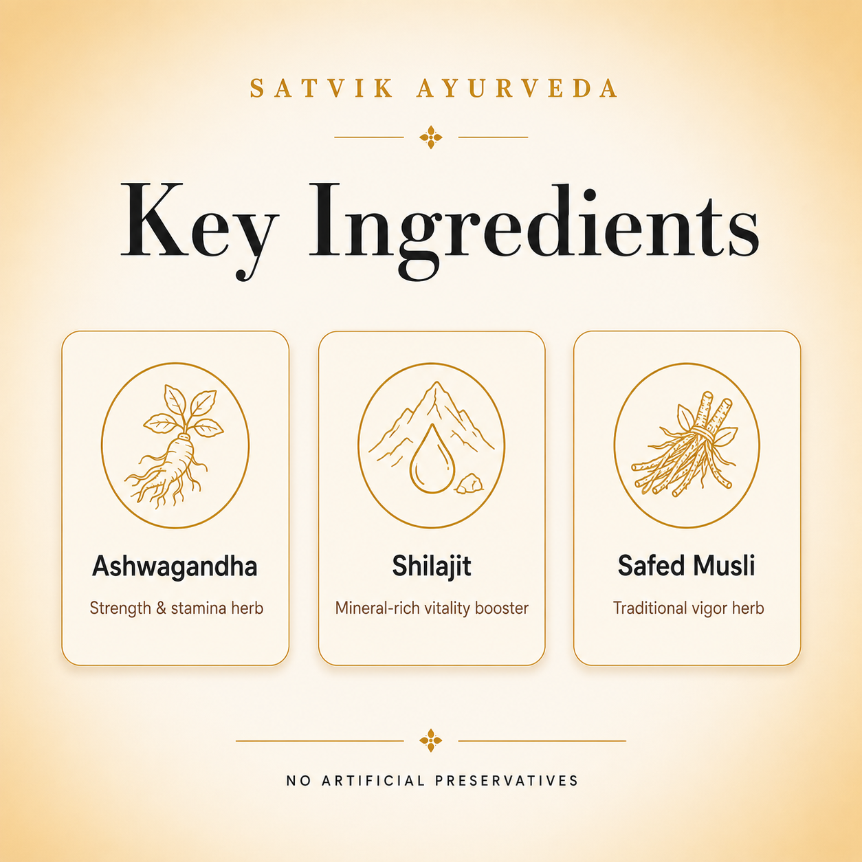 Satvik Ayurveda Vajra Shaktipak | Ayurvedic Vitality Formula