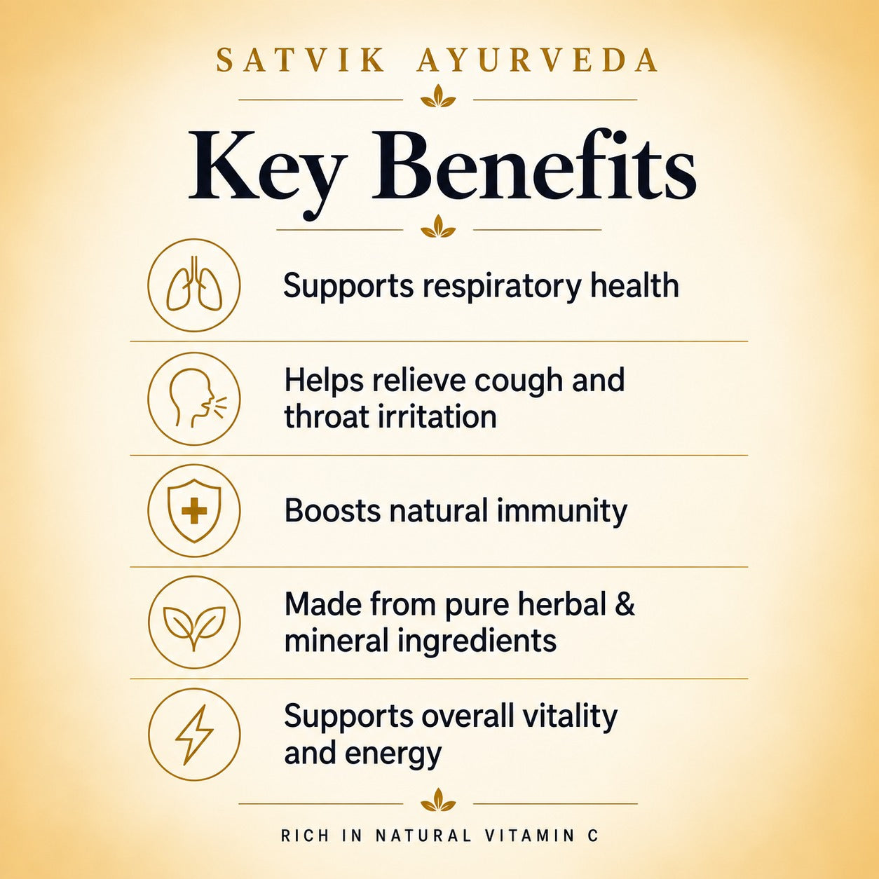 Satvik Ayurveda Shakti Bhasma | Ayurvedic Vitality Formula