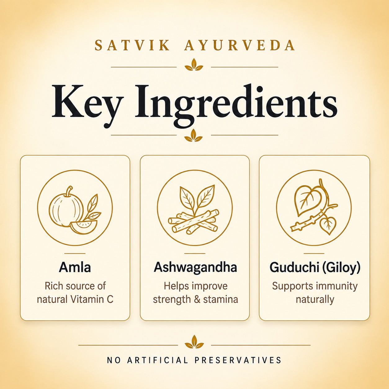 Satvik Ayurveda Shakti Bhasma | Ayurvedic Vitality Formula