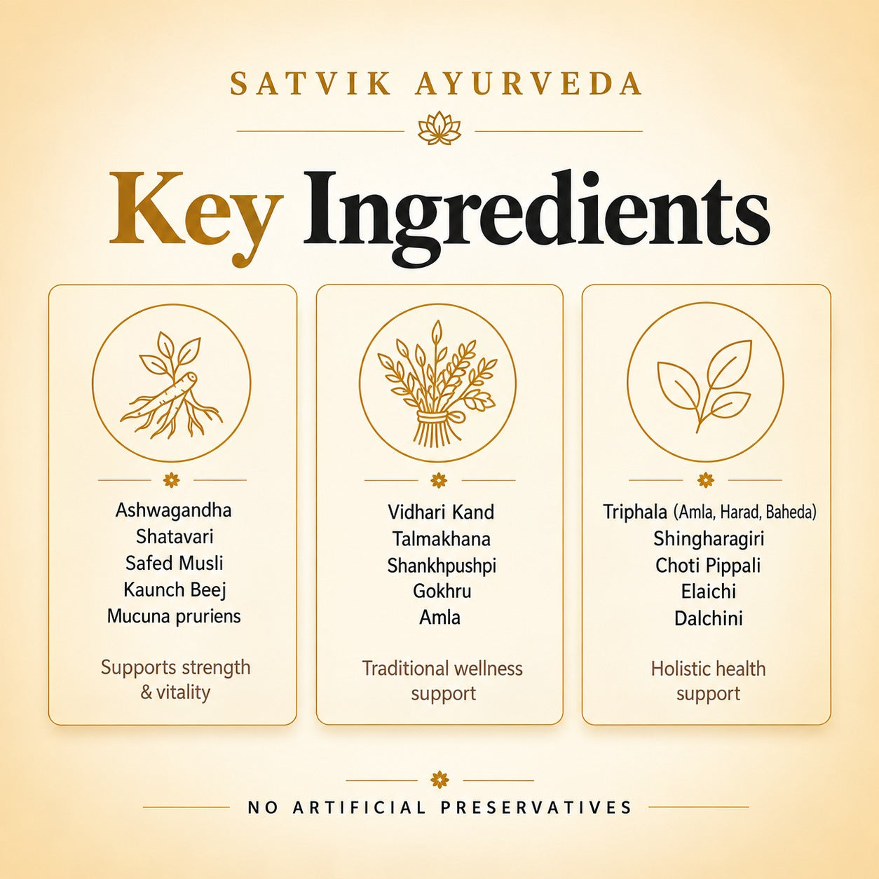Satvik Ayurveda Blist Churan | Ayurvedic Weight Gainer Powder