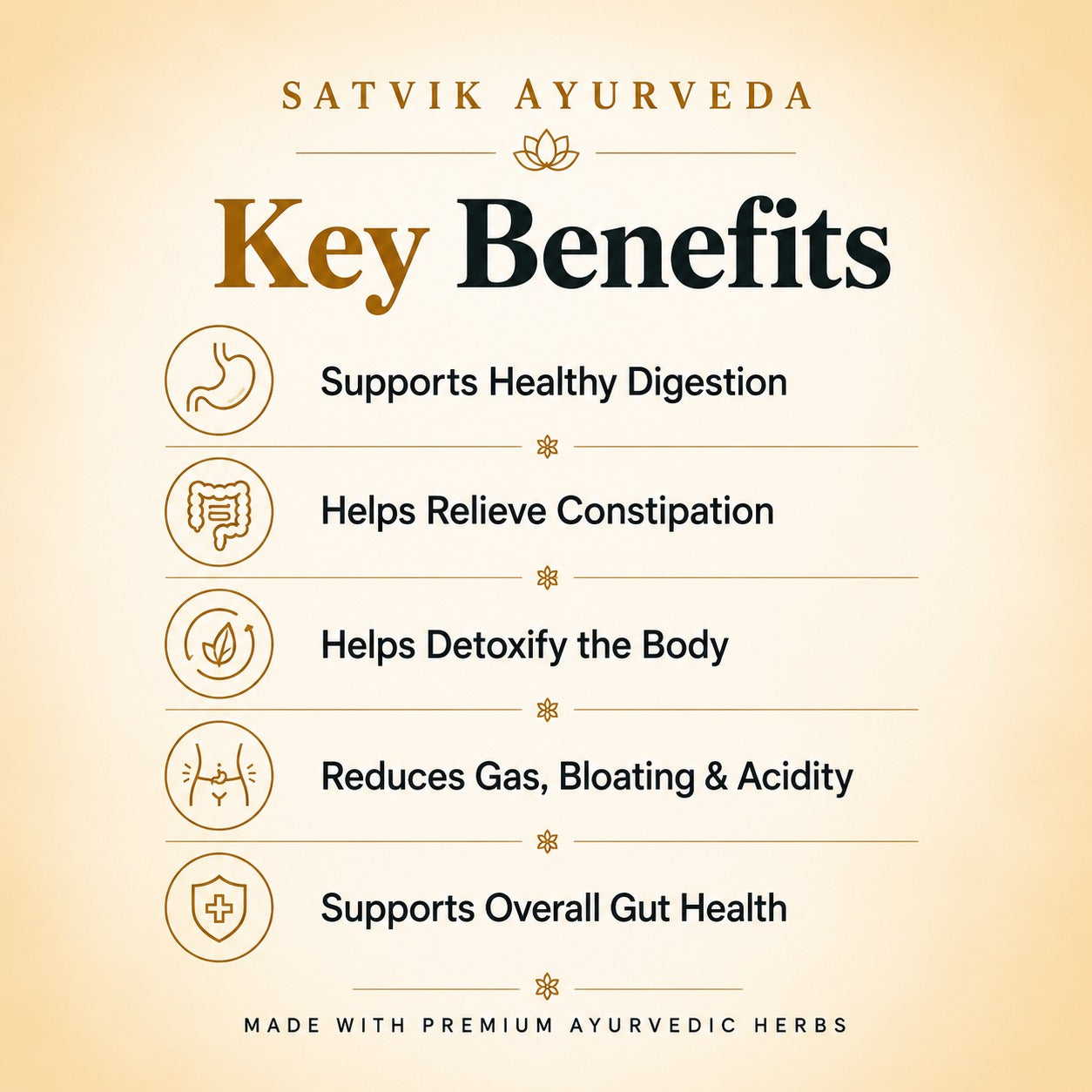 Satvik Ayurveda Blist Churan | Ayurvedic Weight Gainer Powder